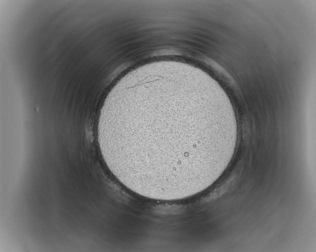 X0000115150929200911241526