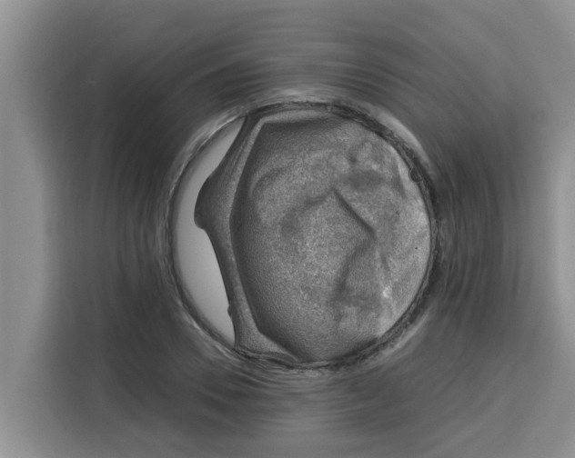 X0000115150930200911241526