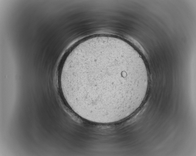 X0000115150931200911241526