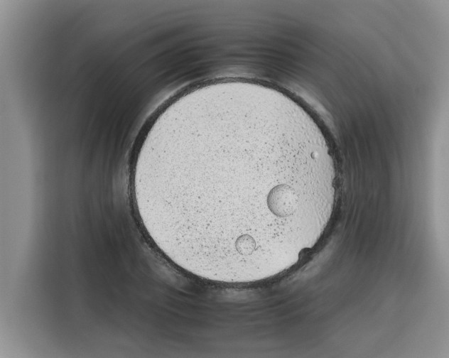 X0000115150933200911241526