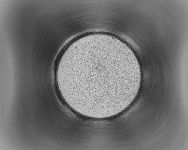 X0000115150934200911241526