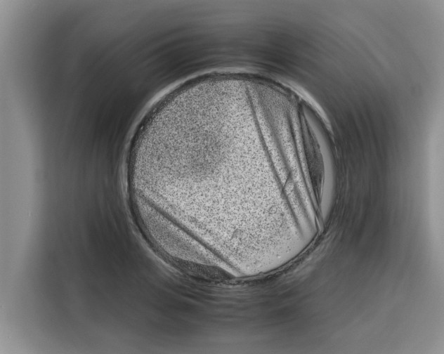 X0000115150935200911241526