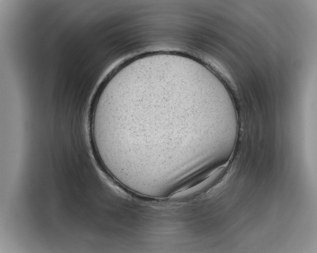 X0000115150942200911241526