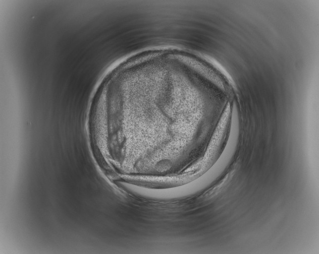 X0000115150943200911241526