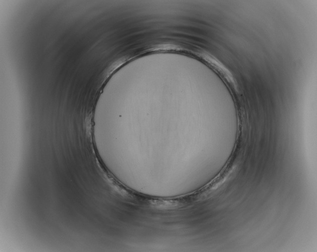 X0000115150945200911241526