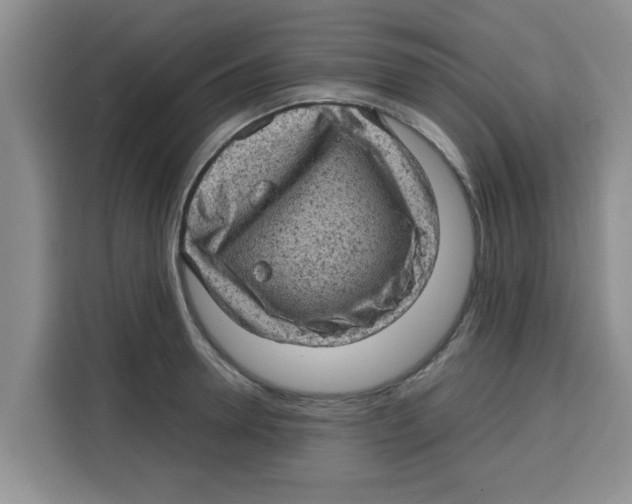 X0000115150946200911241526