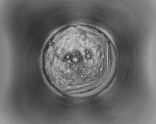 X0000115150949200911241526