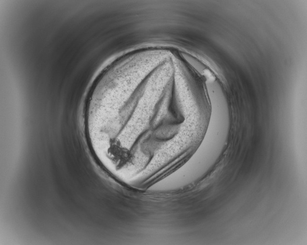 X0000115150950200911241526