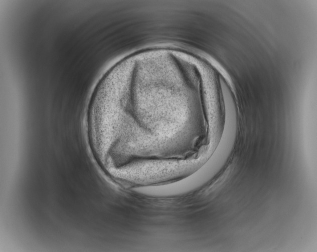 X0000115150951200911241526