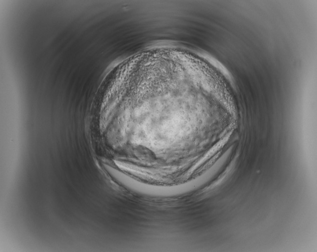 X0000115150953200911241526