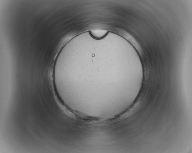 X0000115150954200911241526