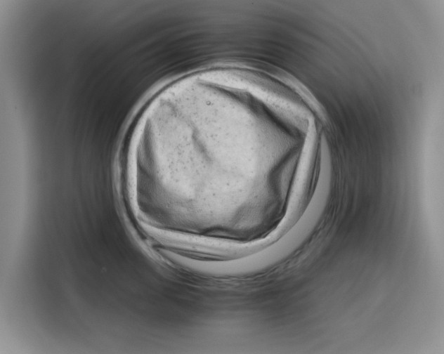 X0000115150955200911241526