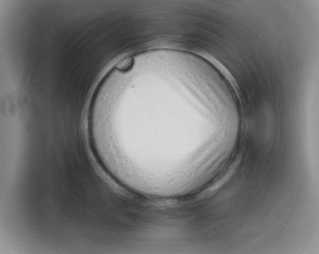 X0000115150957200911241526