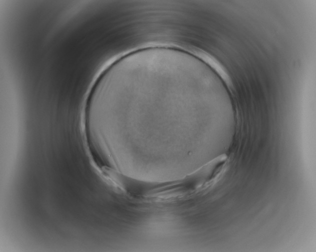 X0000115150958200911241526