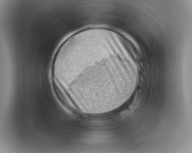 X0000115150959200911241526