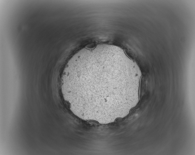 X0000115150961200911241525