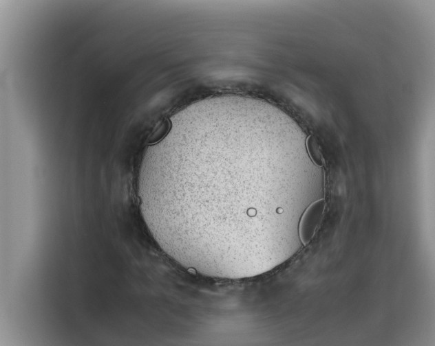 X0000115150965200911241525