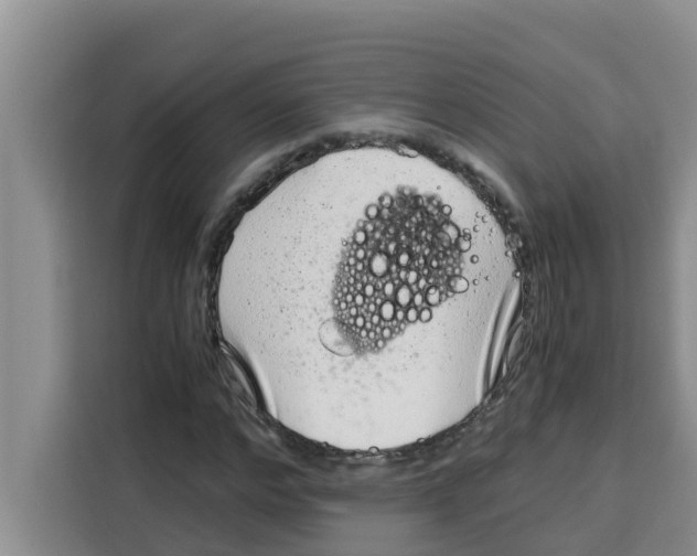 X0000115150968200911241525