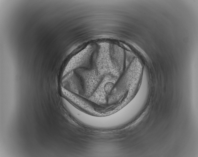 X0000115150969200911241525