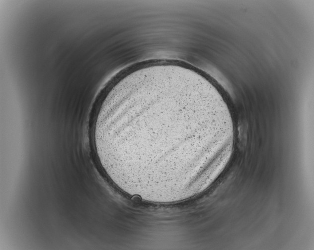 X0000115150972200911241525