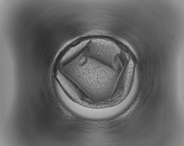 X0000115150973200911241525