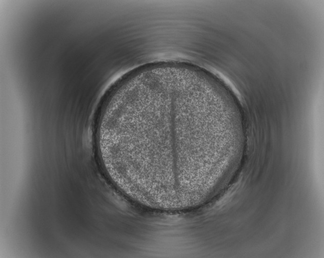 X0000115150975200911241525