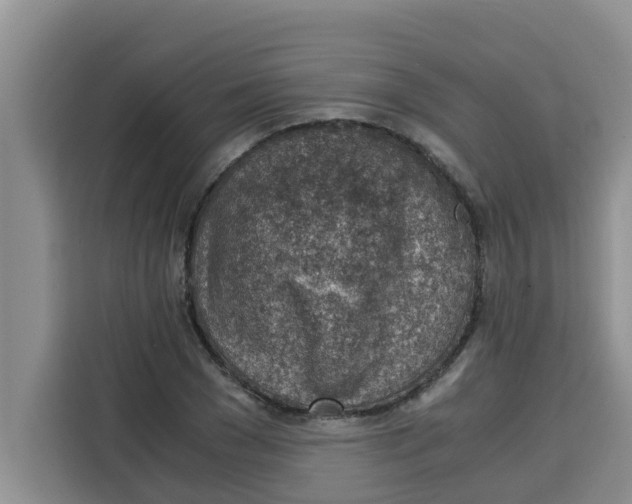 X0000115150977200911241525