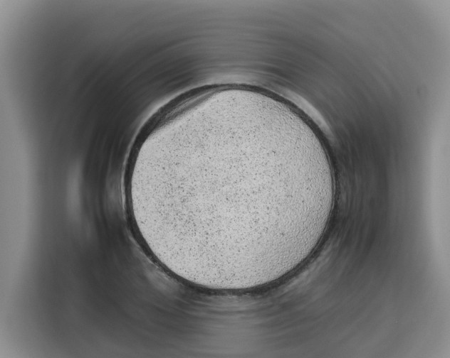 X0000115150980200911241525