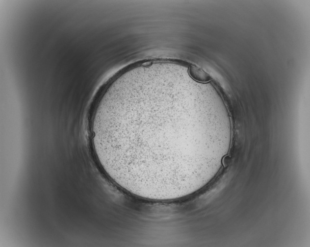 X0000115150981200911241525