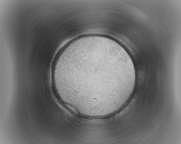 X0000115150982200911241525