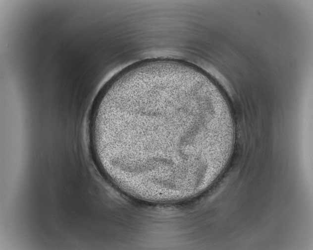 X0000115150983200911241525