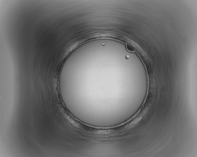 X0000115150985200911241525