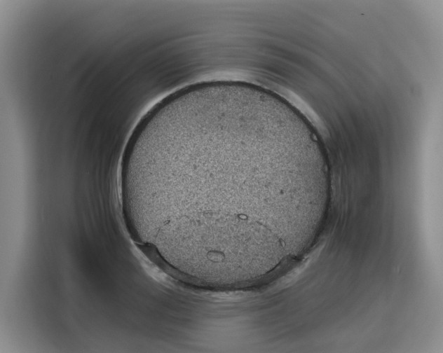 X0000115150988200911241525