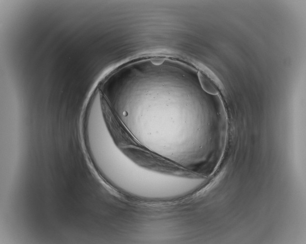 X0000115150989200911241525