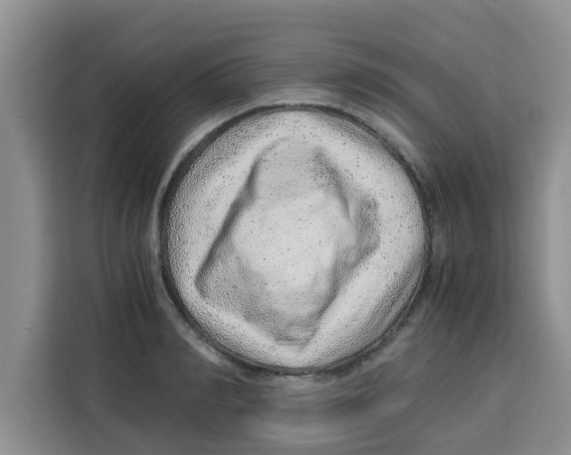 X0000115150990200911241525