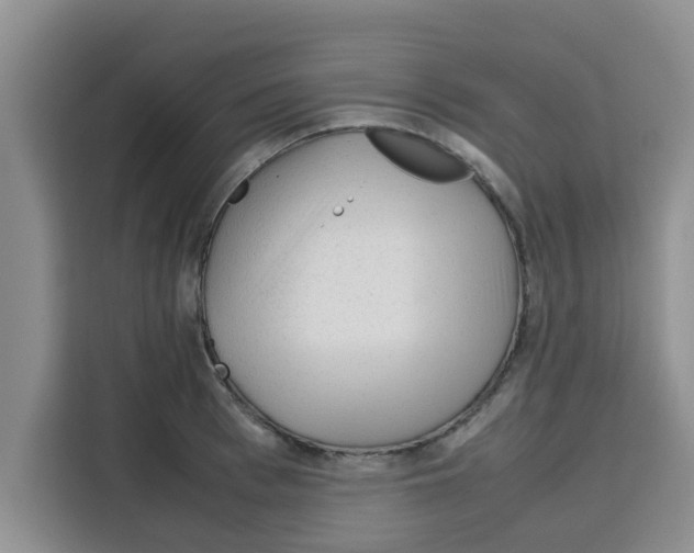 X0000115150993200911241525