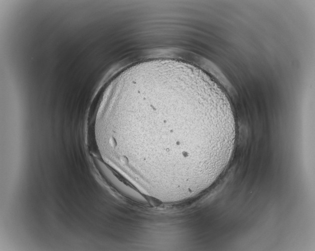 X0000115150994200911241525