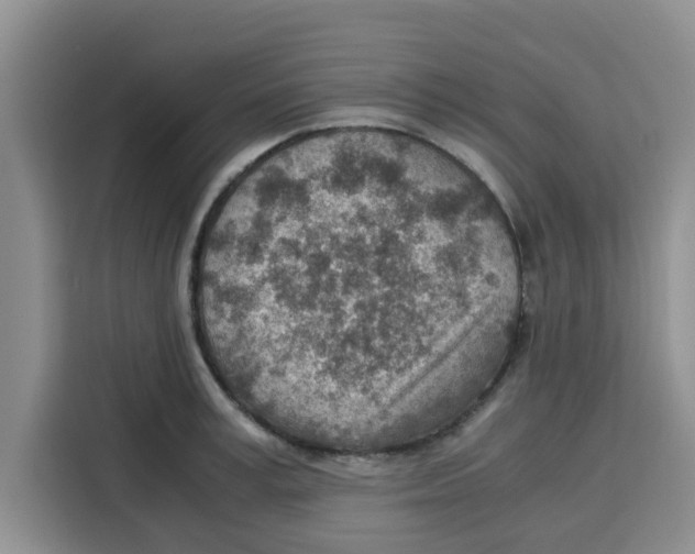 X0000115150995200911241525