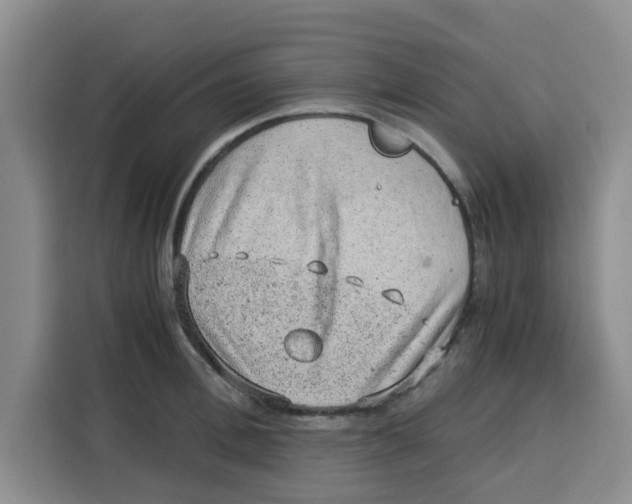 X0000115150996200911241525