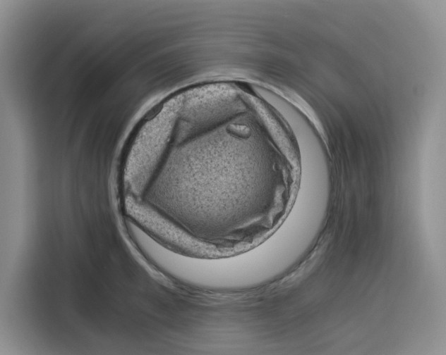 X0000115150997200911241525