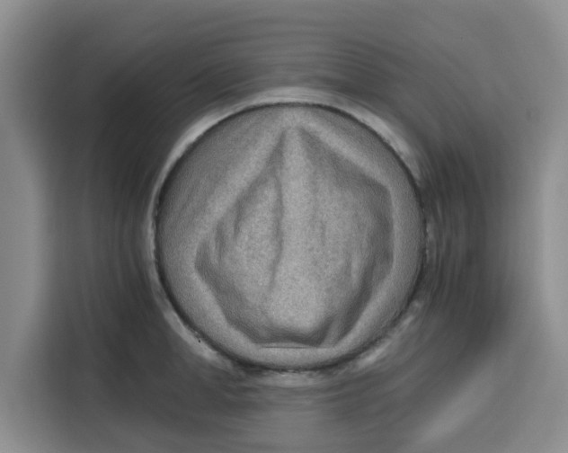 X0000115150998200911241525