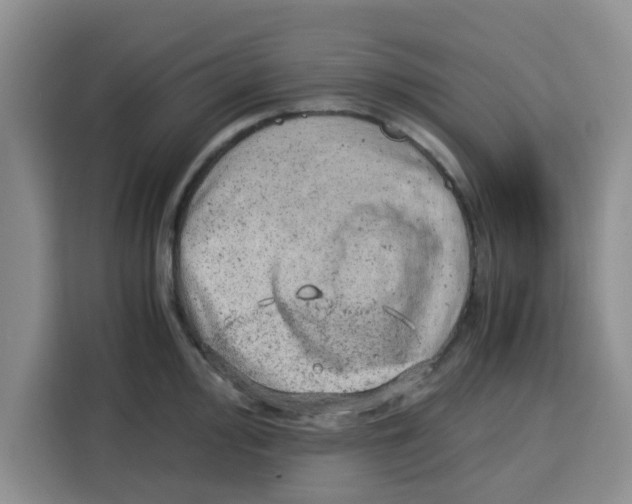 X0000115151000200911241525