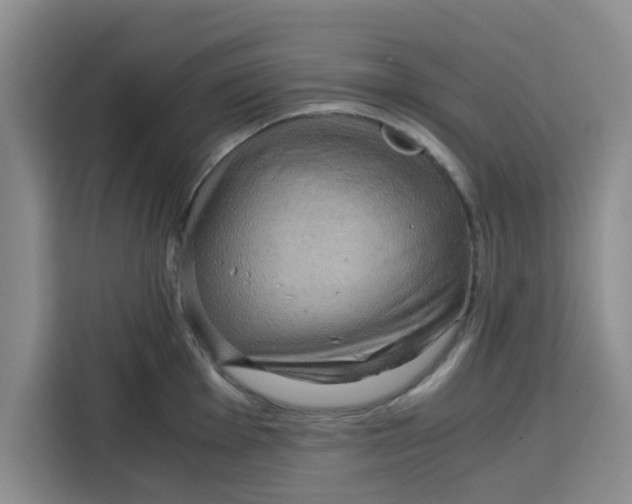 X0000115151001200911241525