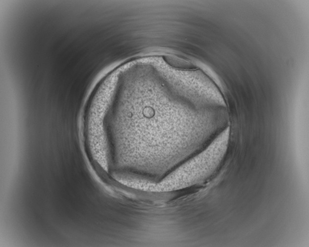 X0000115151003200911241525