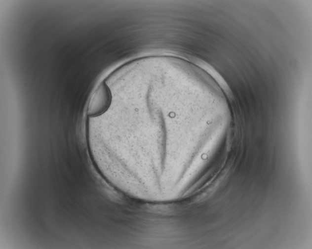 X0000115151004200911241525