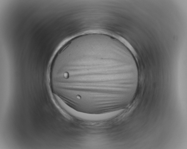 X0000115151005200911241525