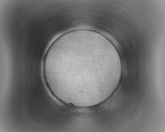 X0000115151006200911241525