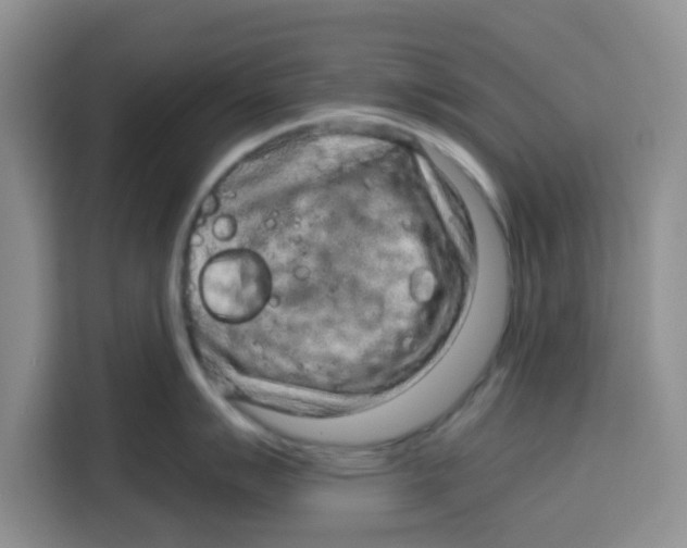 X0000115151007200911241525