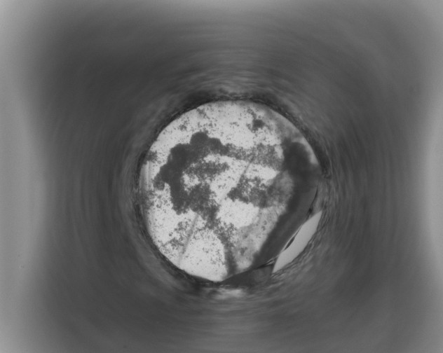 X0000115151009200911241524