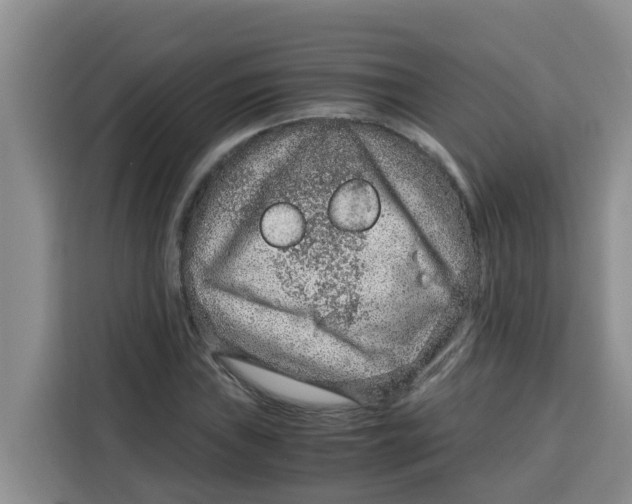 X0000115151019200911241524